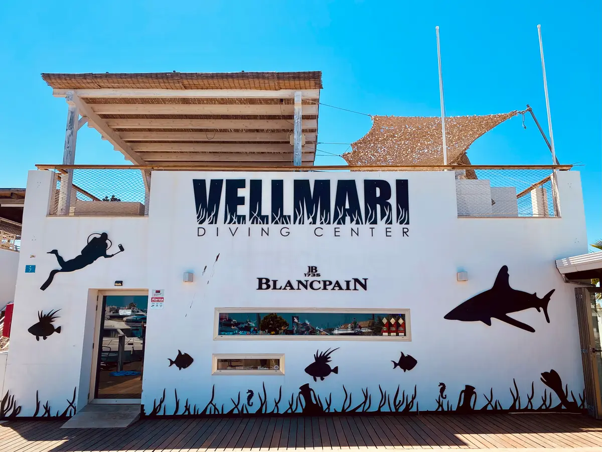 Exterior of Vellmari Diving Center in La Savina Harbour, Formentera with marine-themed wall art and signage