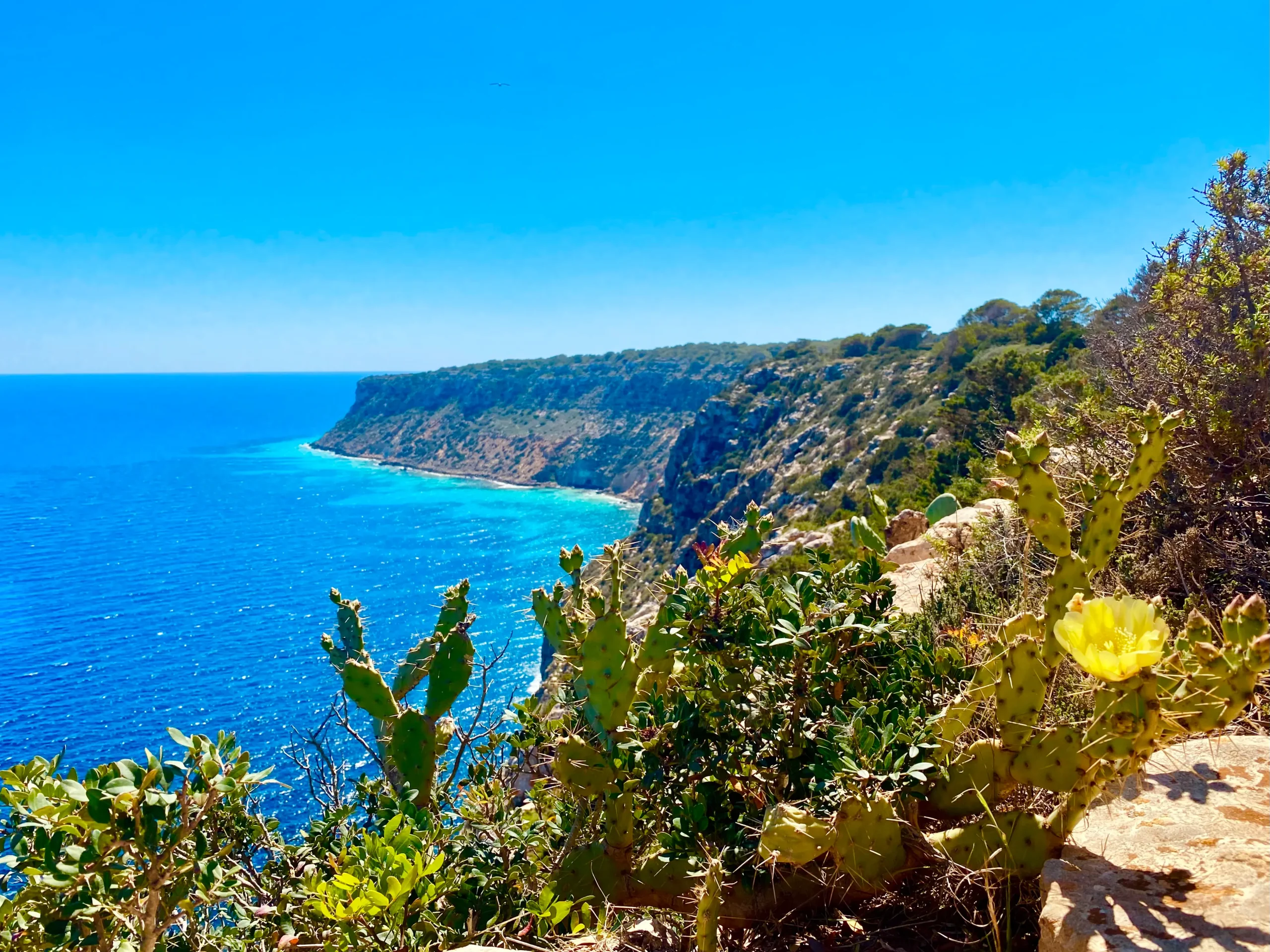 Formentera's scenic view from El Pilar de La Mola