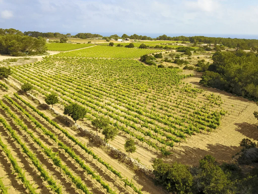Aerial view of Terramoll Winery in La Mola, Formentera