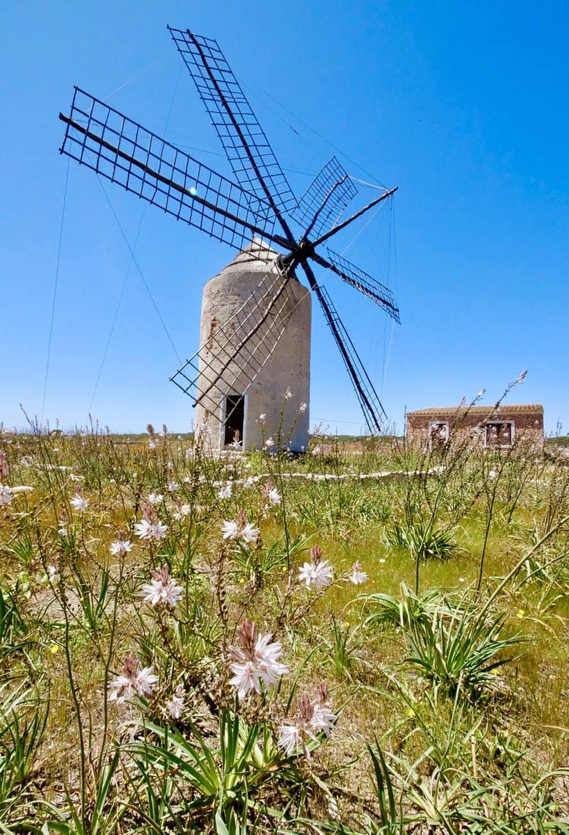 Molí Vell Windmill near Pilar de la Mola, Formentera