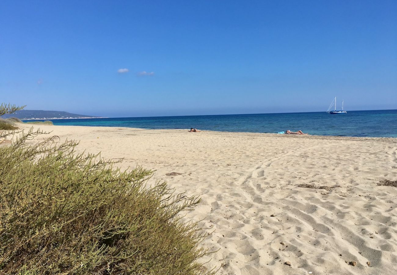 Bungalow in Playa de Migjorn - Can Miguel Marti Bungalow - 2 bedrooms