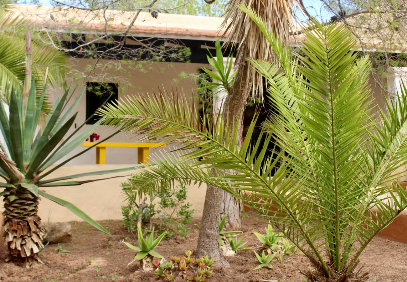 Bungalow in Playa de Migjorn - Can Miguel Marti Bungalow - 2 bedrooms