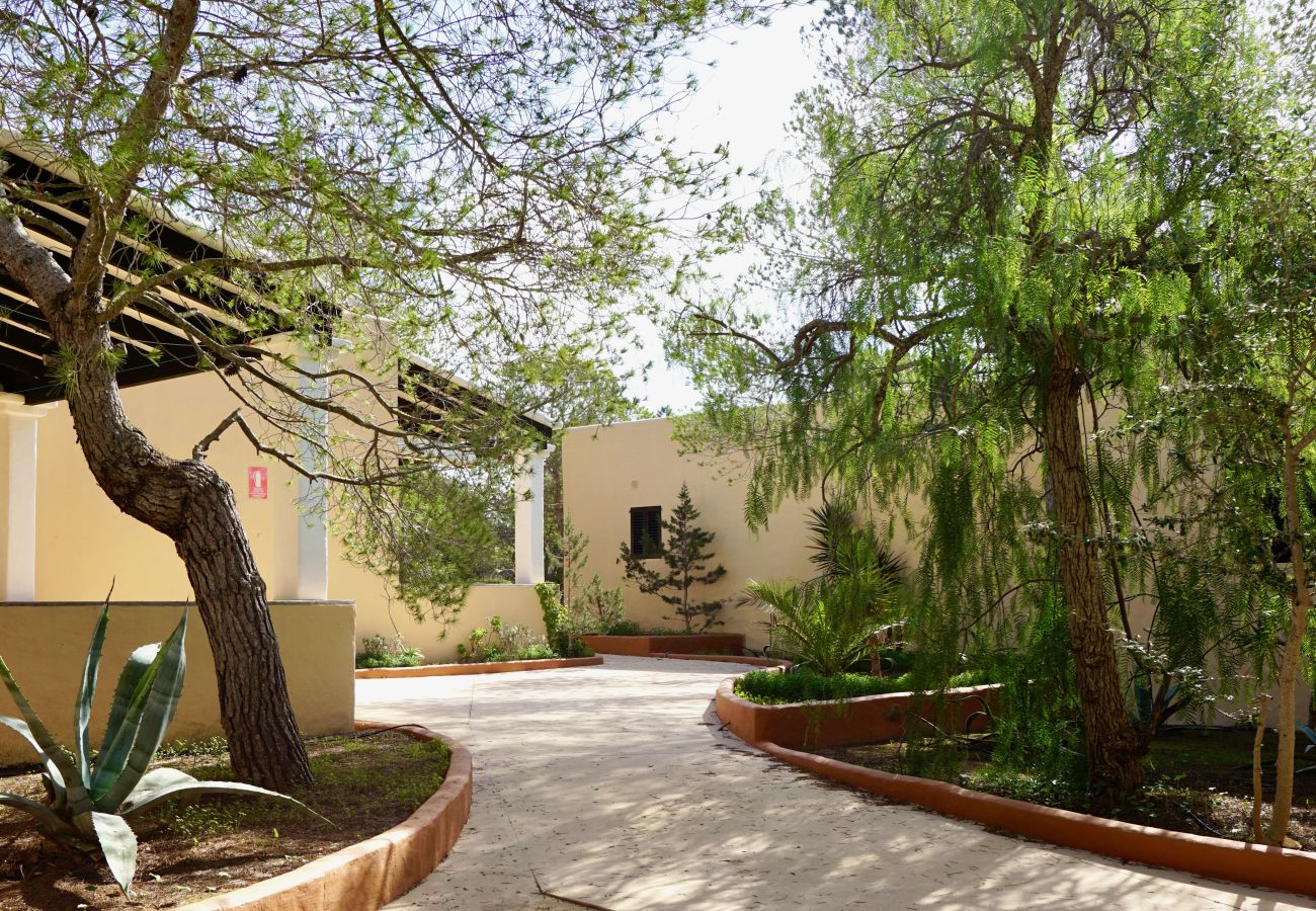 Bungalow in Playa de Migjorn - Can Miguel Marti Bungalow - 2 bedrooms