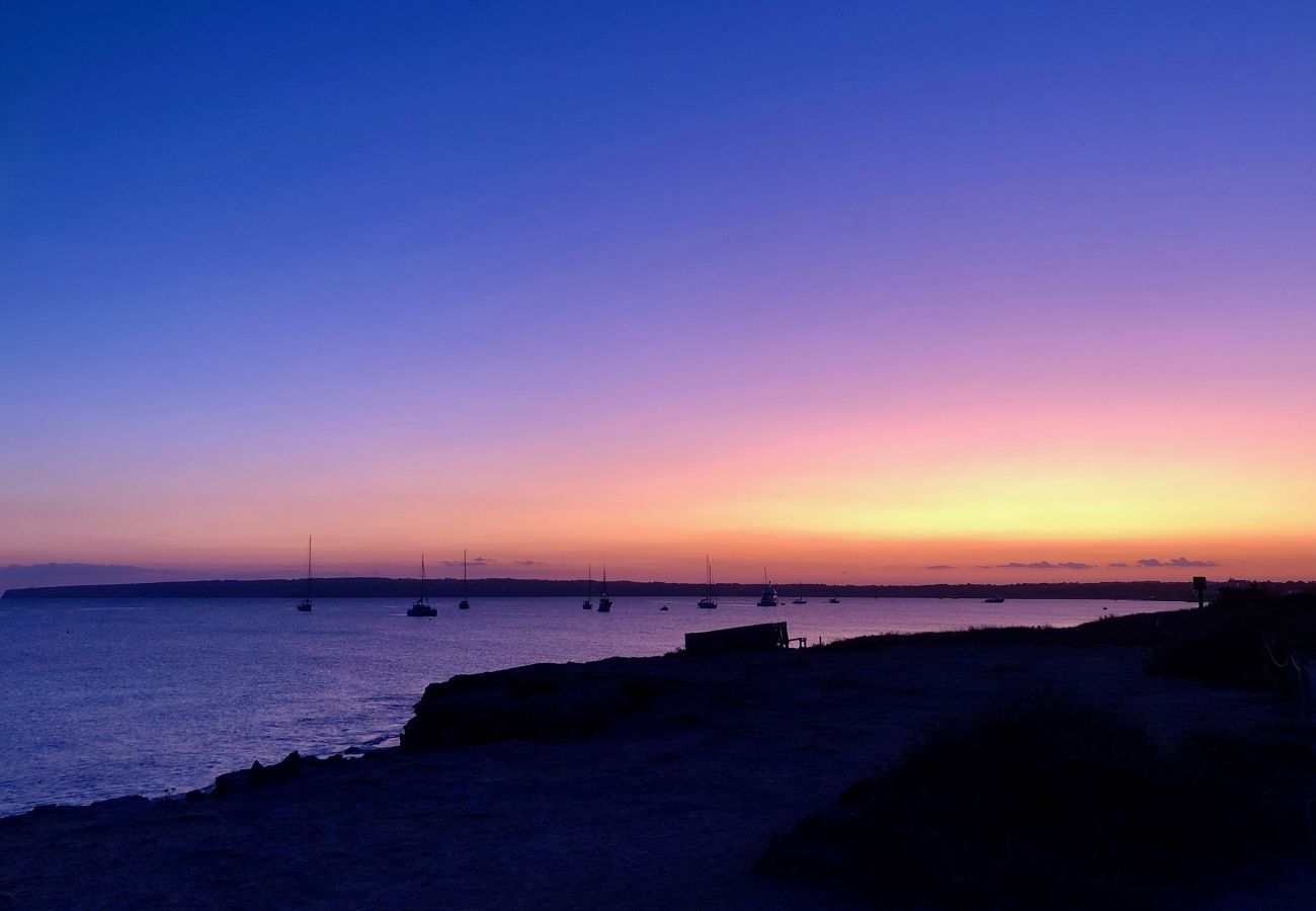 Villa in Playa de Migjorn - Casa Sa Playa Beach House, Migjorn - Formentera
