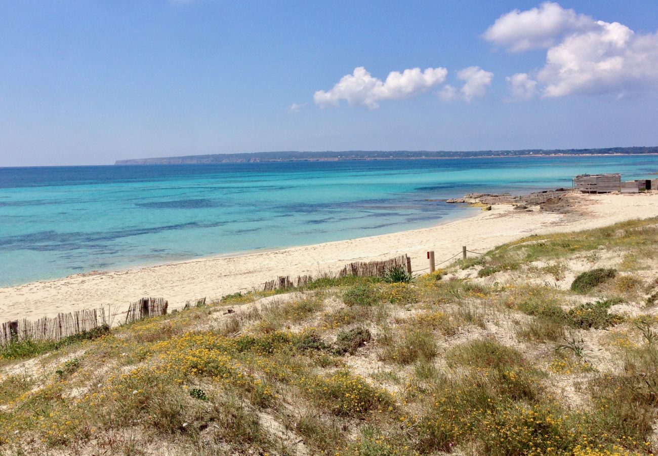 Villa in Playa de Migjorn - Casa Sa Playa Beach House, Migjorn - Formentera