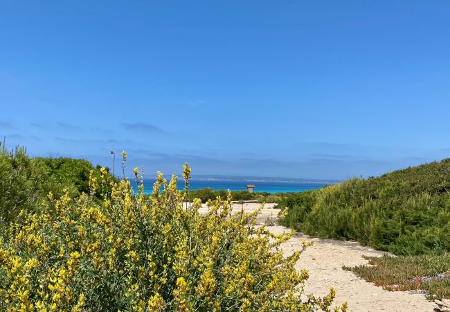 Villa in Playa de Migjorn - Casa Stefi Beach House, Migjorn - Formentera