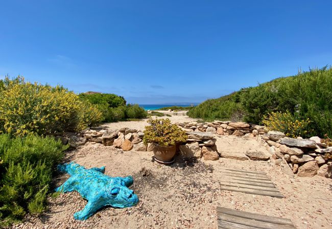 Villa in Playa de Migjorn - Casa Stefi Beach House, Migjorn - Formentera