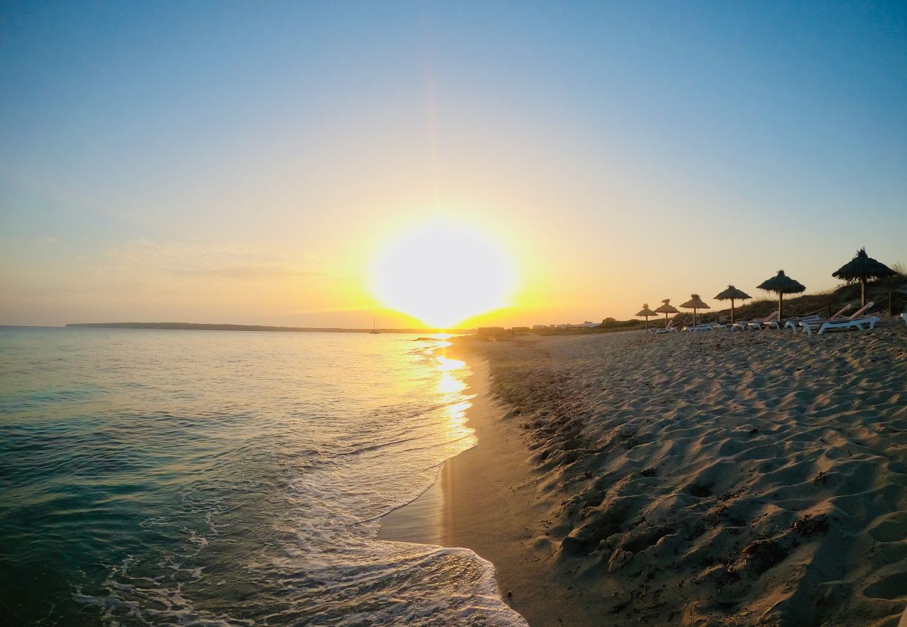 Villa in Playa de Migjorn - Casa Stefi Beach House, Migjorn - Formentera