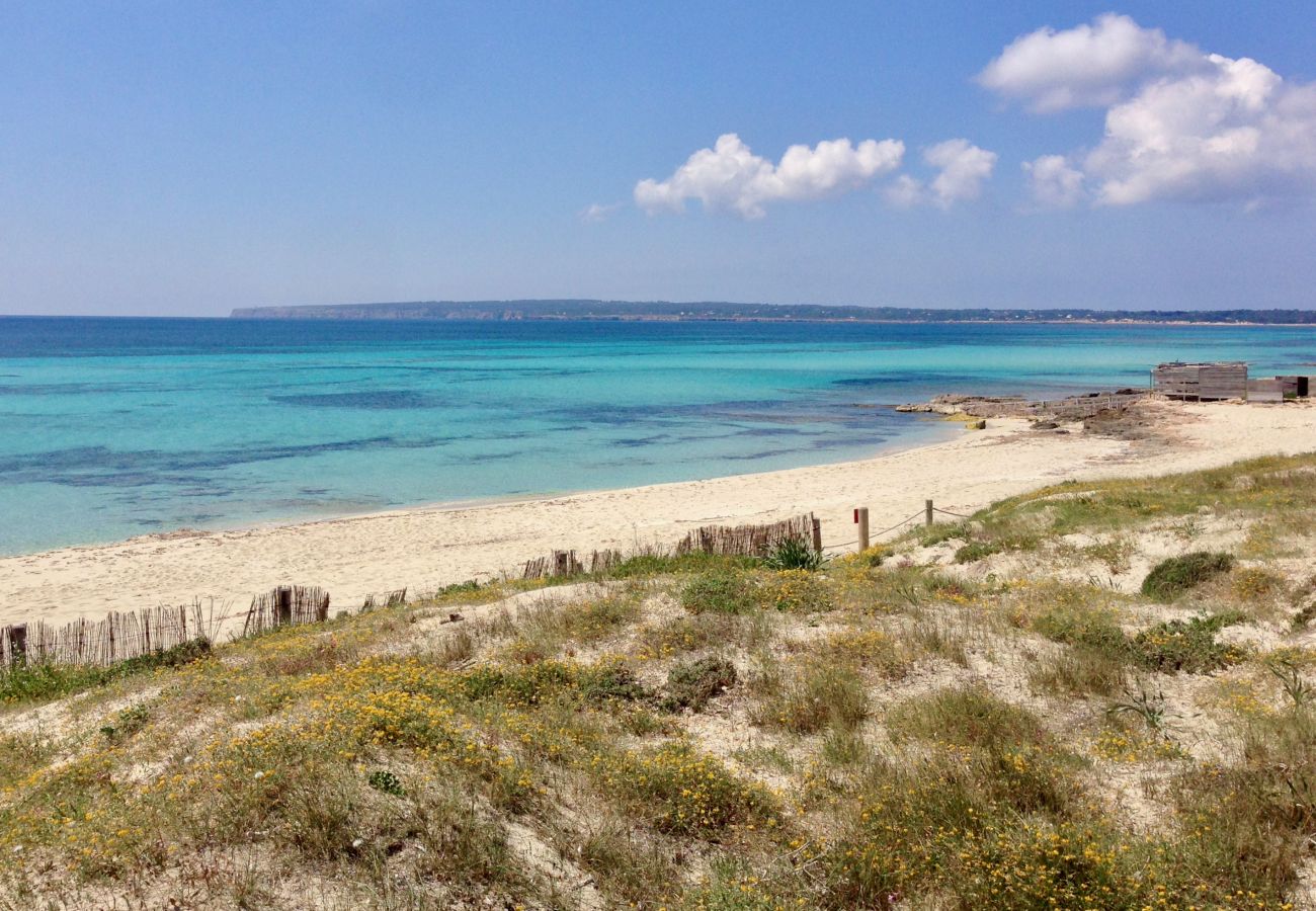 Villa in Playa de Migjorn - Casa Stefi Beach House, Migjorn - Formentera