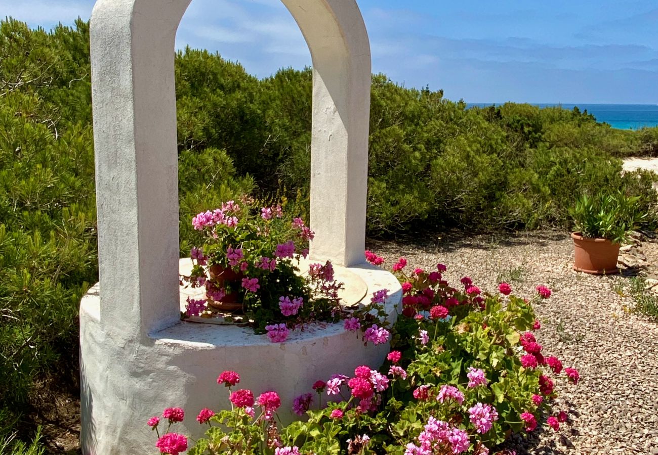 Villa in Playa de Migjorn - Casa Stefi Beach House, Migjorn - Formentera