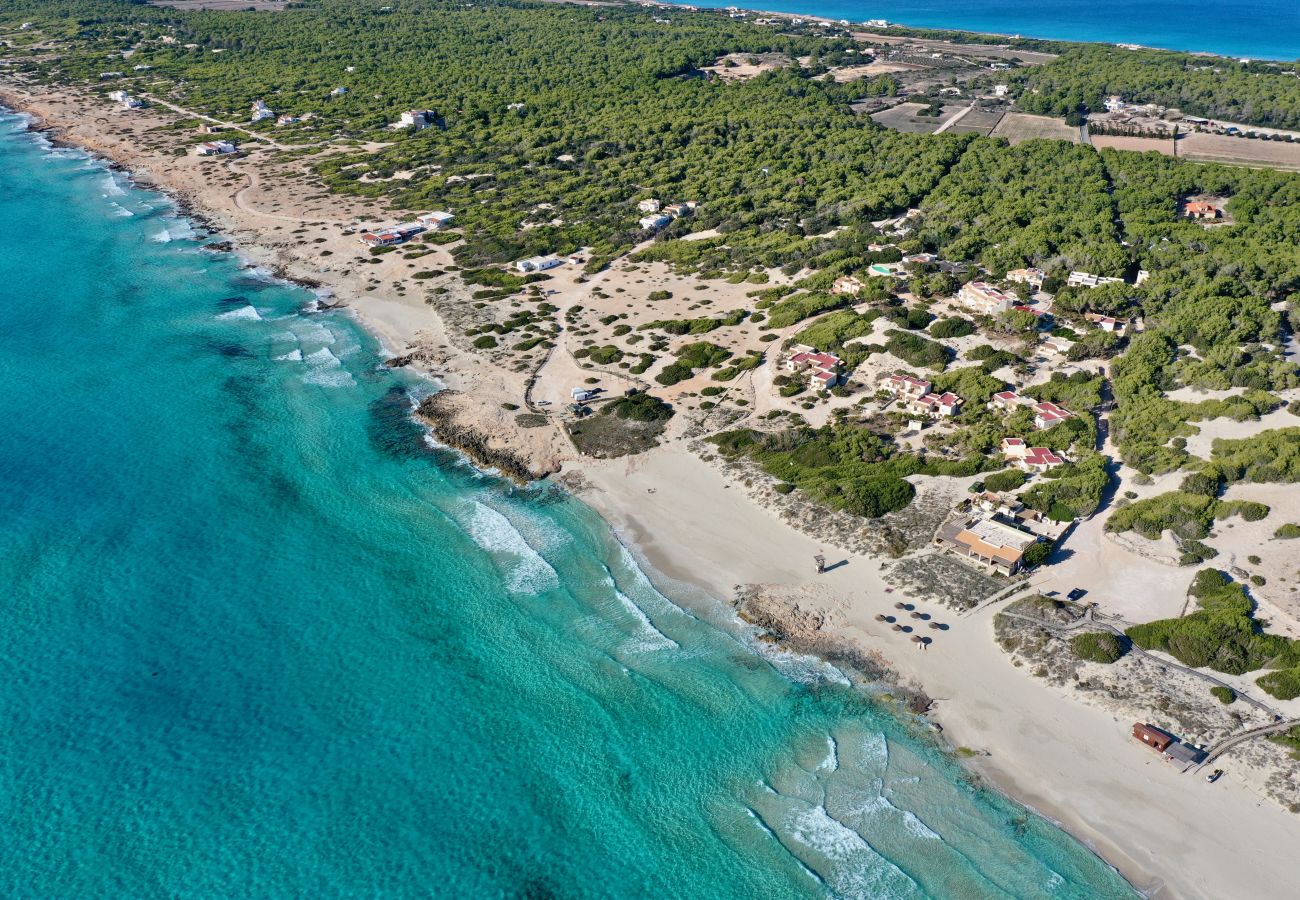 Villa in Playa de Migjorn - Casa Stefi Beach House, Migjorn - Formentera